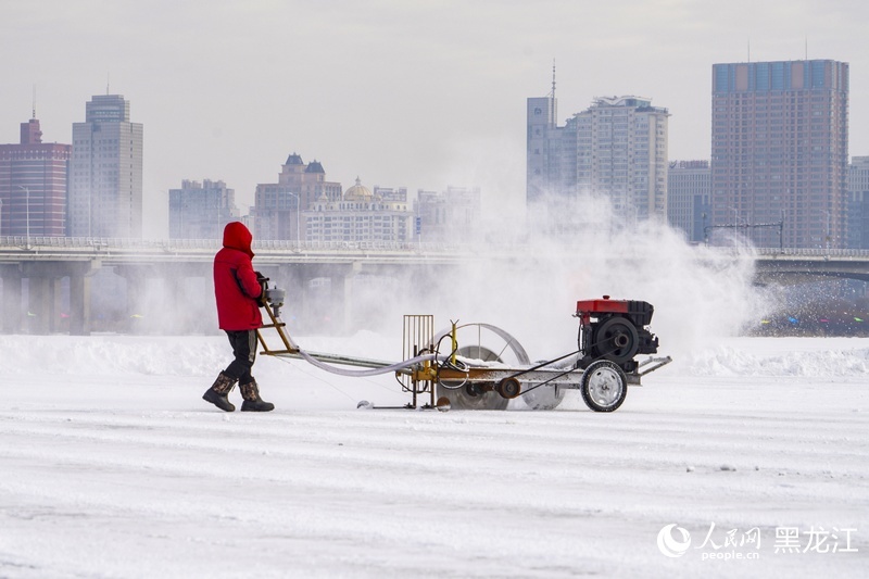 哈尔滨的冰,究竟是怎么采的? 哈尔滨的冰,究竟是怎么采的?