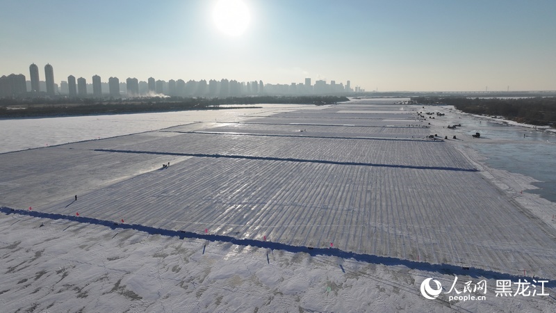 哈尔滨的冰,究竟是怎么采的? 哈尔滨的冰,究竟是怎么采的?