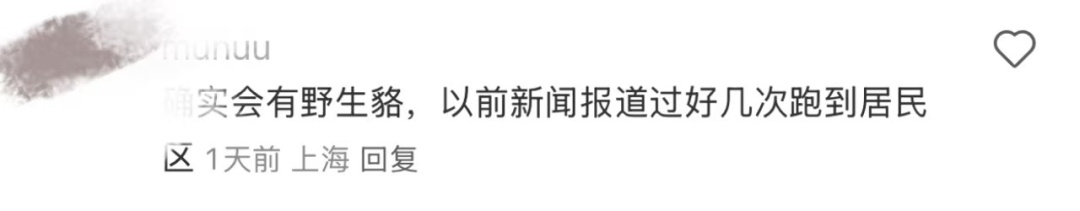 上海交大回应校内小鹿死亡
