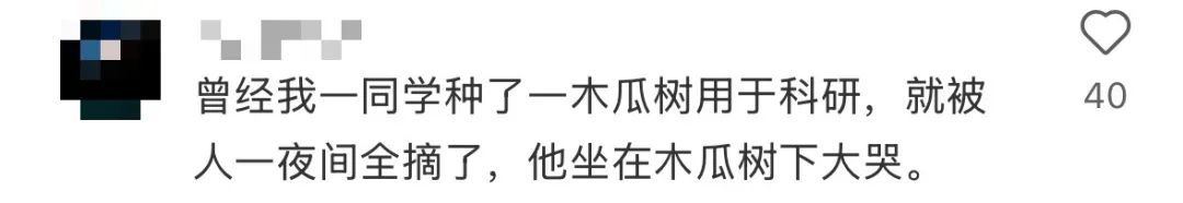 这鱼背上怎么带编码？还好没吃......