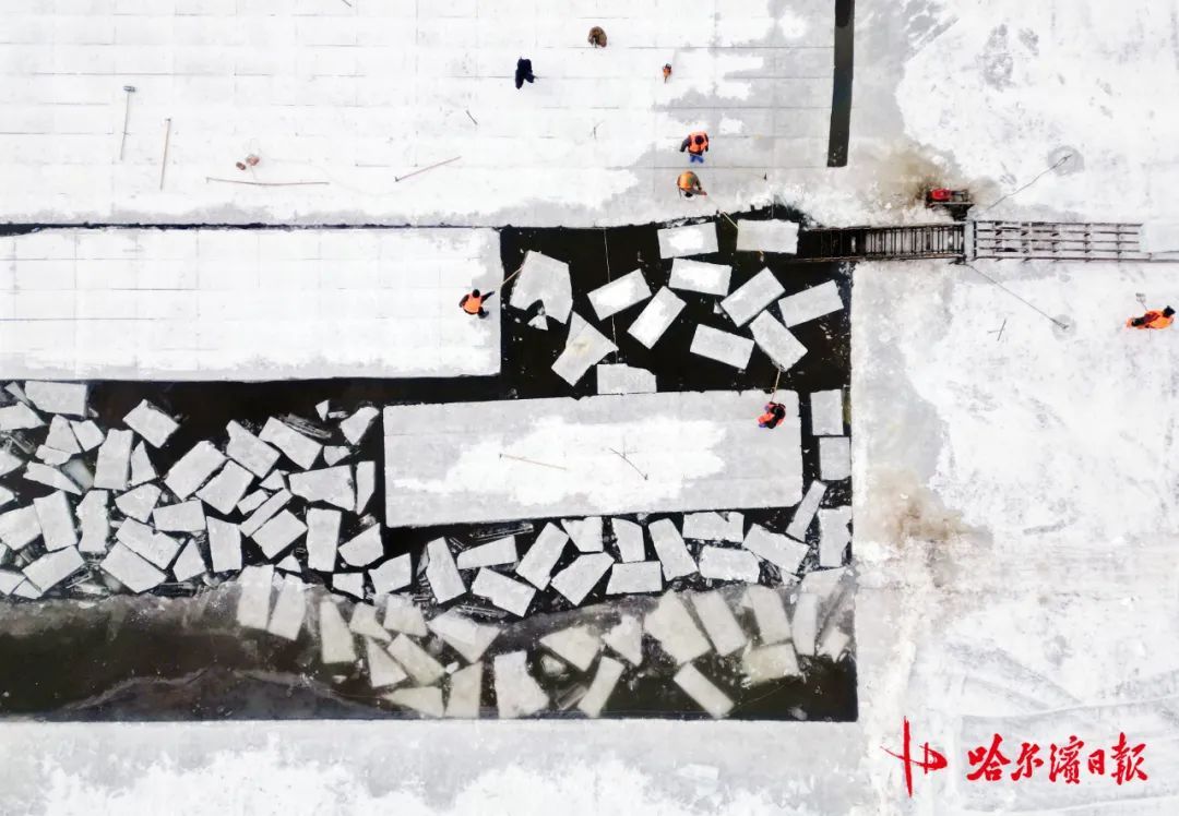 采冰全面展开!哈尔滨冰雪大世界建设加速 采冰全面展开!哈尔滨冰雪大世界建设加速