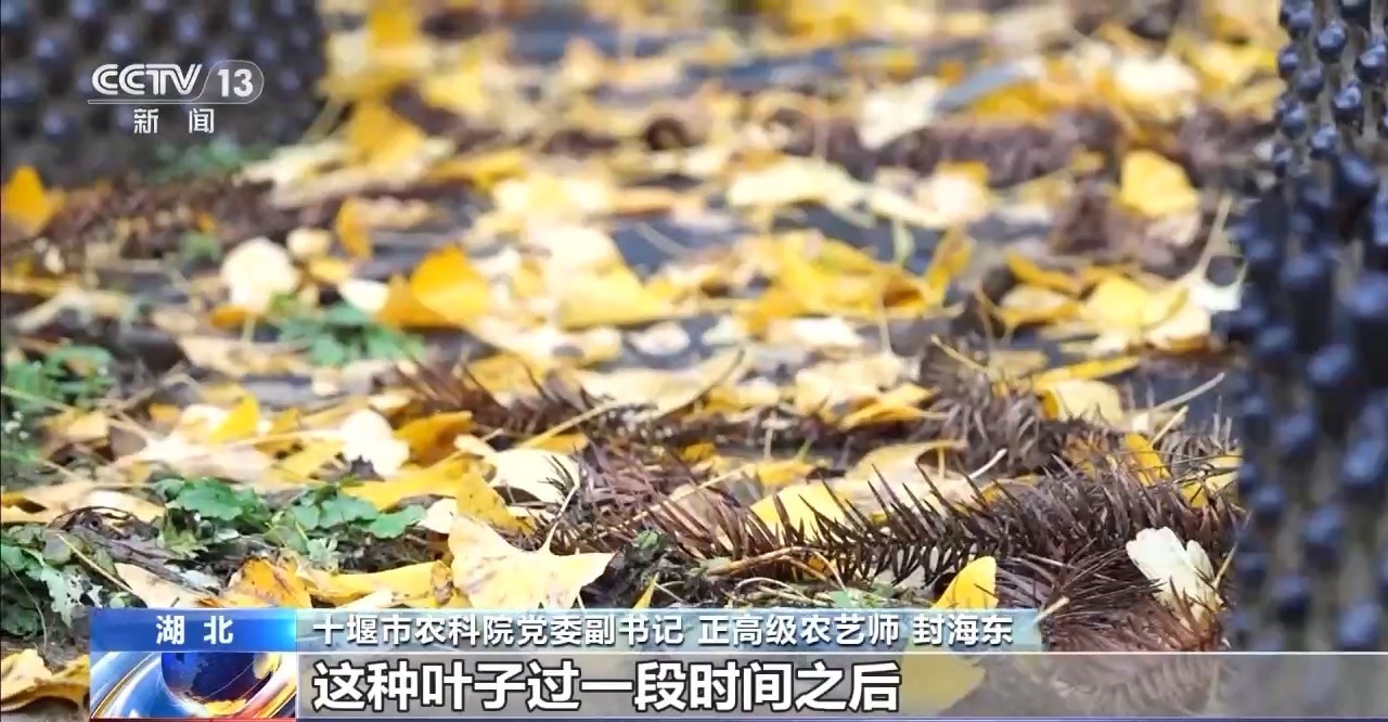 南水北调全面通水十周年｜十堰泗河：“龙须沟”变身“一库碧水”