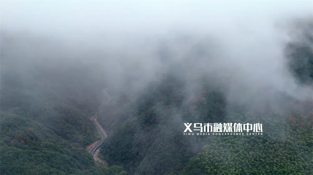 跌至0℃！义乌入冬最新消息来了！