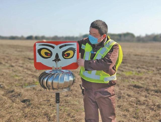 这种眼睛被叫作“恐怖眼”,被放在机场中,会随风转动,不是驱邪而是驱…… 这种眼睛被叫作“恐怖眼”,被放在机场中,会随风转动,不是驱邪而是驱……