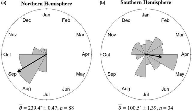 这种眼睛被叫作“恐怖眼”,被放在机场中,会随风转动,不是驱邪而是驱…… 这种眼睛被叫作“恐怖眼”,被放在机场中,会随风转动,不是驱邪而是驱……