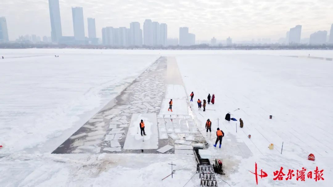 采冰全面展开!哈尔滨冰雪大世界建设加速 采冰全面展开!哈尔滨冰雪大世界建设加速