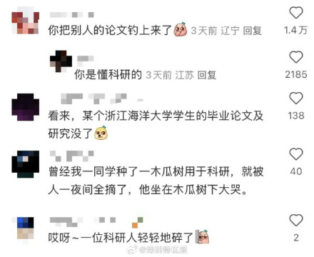 浙江钓鱼佬钓到有编码的黑鲷鱼 浙江钓鱼佬钓到有编码的黑鲷鱼