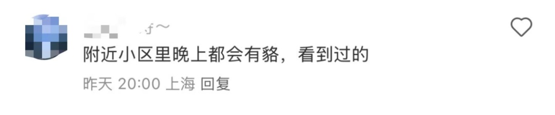 上海交大回应校内小鹿死亡