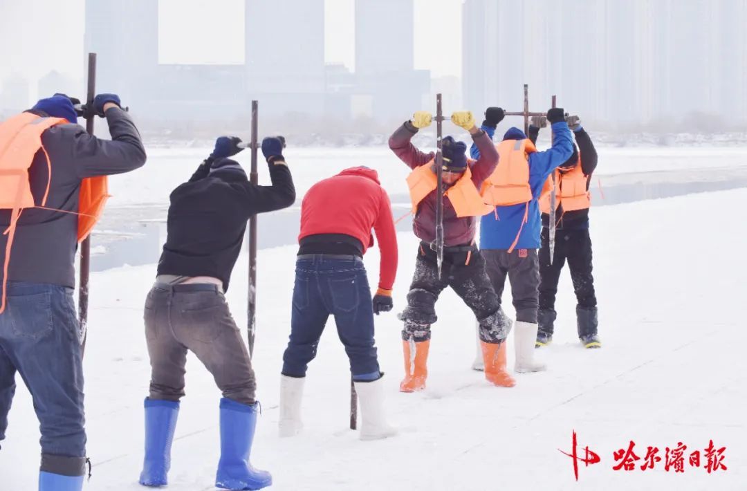 采冰全面展开!哈尔滨冰雪大世界建设加速 采冰全面展开!哈尔滨冰雪大世界建设加速