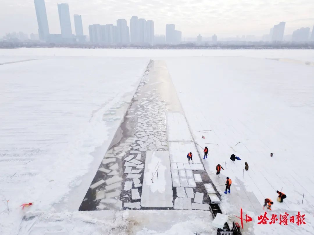 采冰全面展开!哈尔滨冰雪大世界建设加速 采冰全面展开!哈尔滨冰雪大世界建设加速