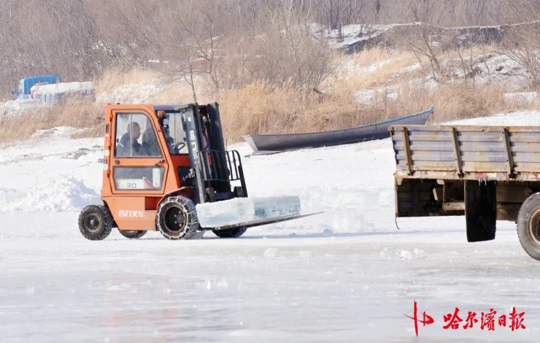 采冰全面展开!哈尔滨冰雪大世界建设加速 采冰全面展开!哈尔滨冰雪大世界建设加速