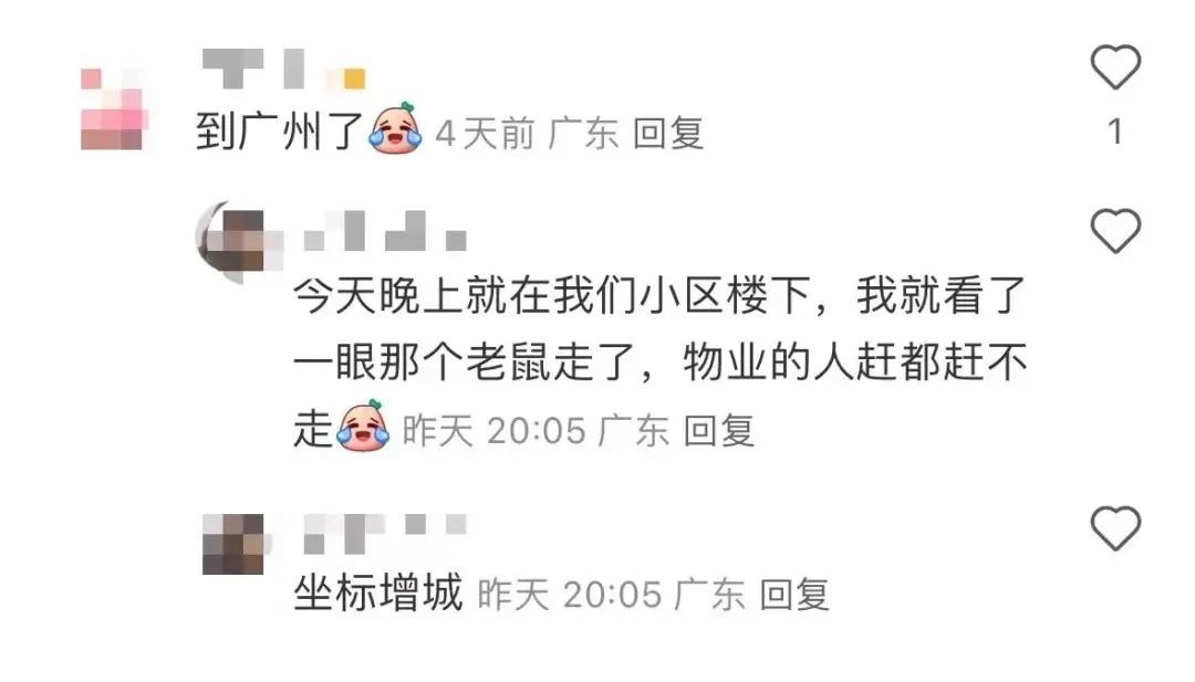 “残疾人表演杂技”不要去！多个小区出现 已有人中招