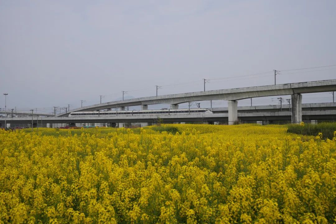 今日,成都这条铁路发送旅客破1亿 今日,成都这条铁路发送旅客破1亿