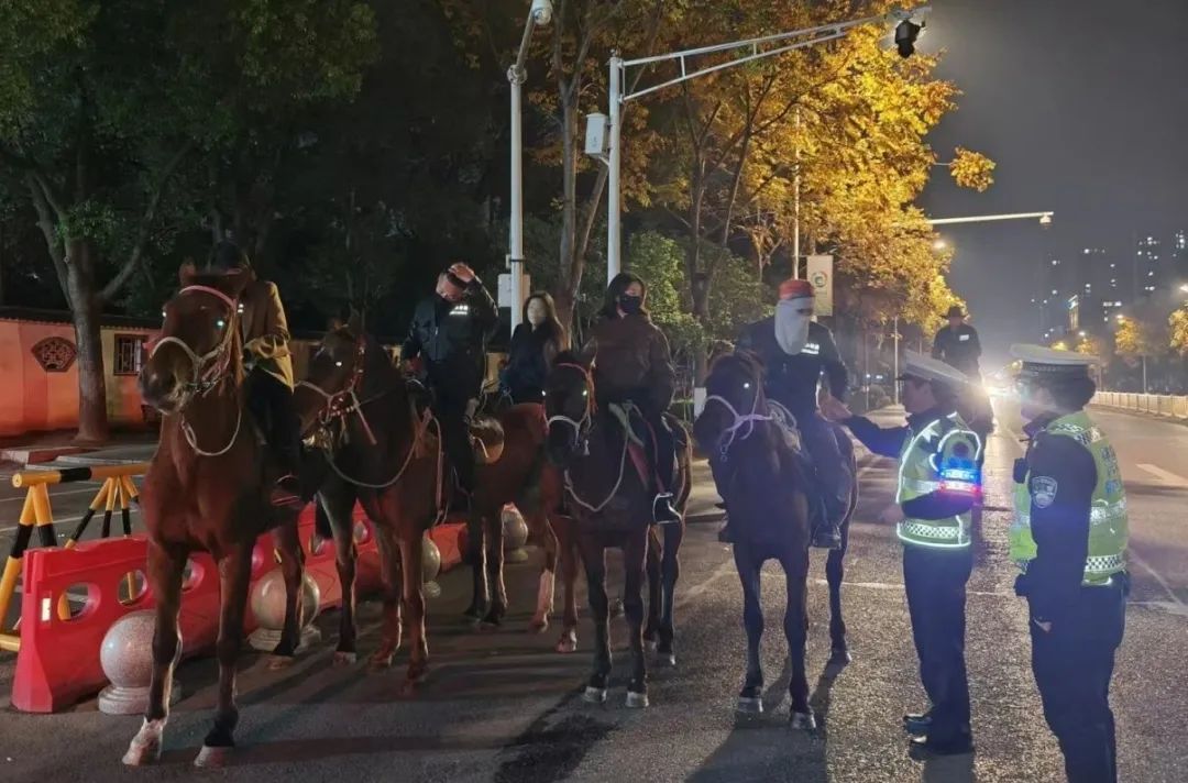 马路惊现马群 巡逻交警及时劝离骑手 马路惊现马群 巡逻交警及时劝离骑手