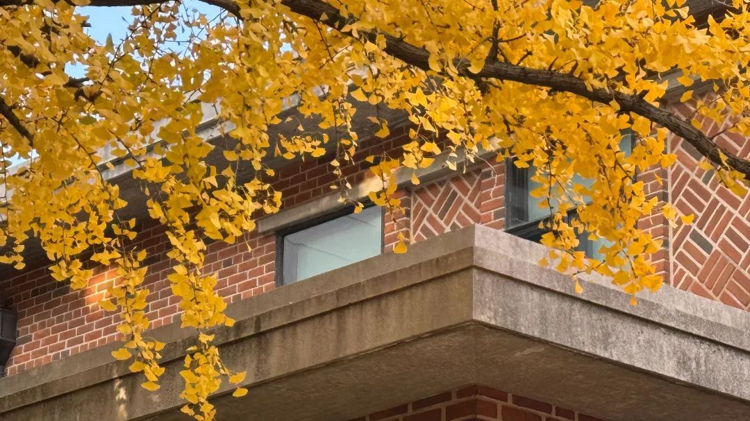 上海今晨部分地区近冰点！下周冷空气“车轮战”来袭！近期这种病例增多，医生提醒→