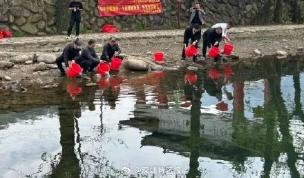 浙江钓鱼佬钓到有编码的黑鲷鱼 浙江钓鱼佬钓到有编码的黑鲷鱼