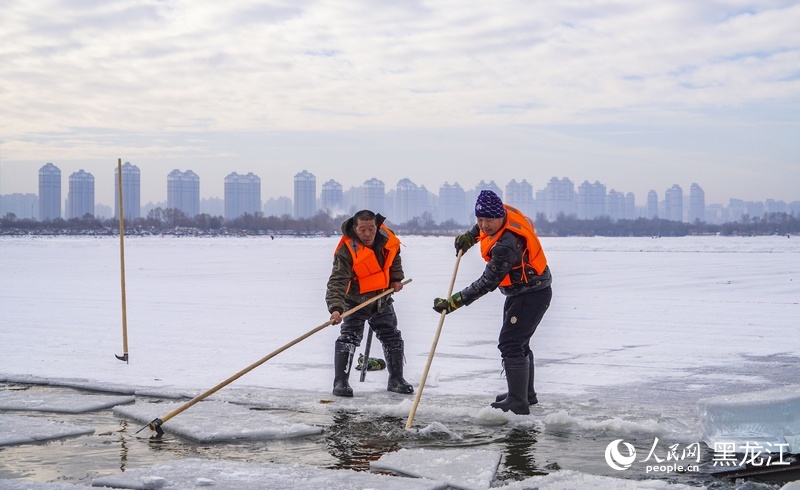 哈尔滨的冰,究竟是怎么采的? 哈尔滨的冰,究竟是怎么采的?