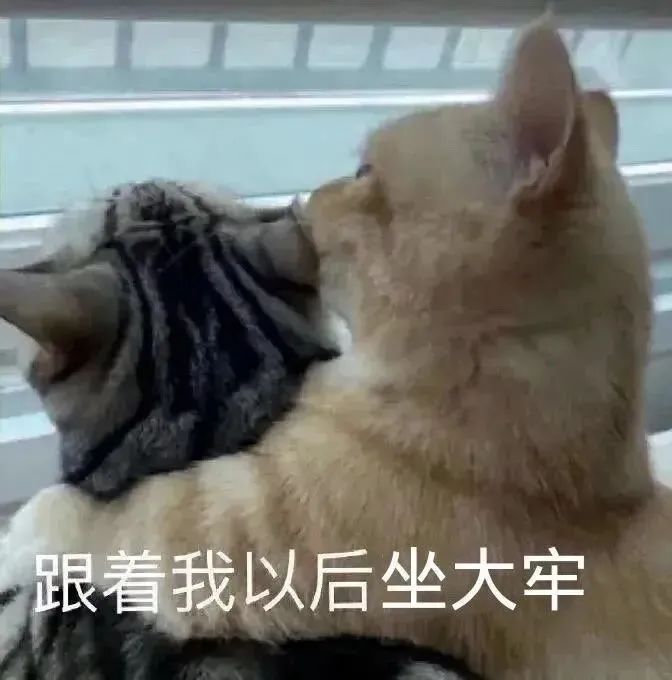 组团盗窃电瓶79块，整整齐齐被刑拘！