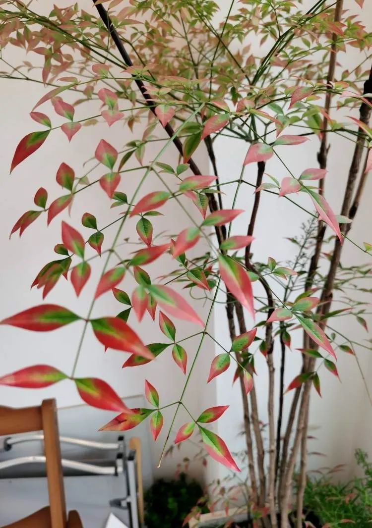 花700元买的神器是智商税?“感到恶心……”拔草者直呼“避坑” 花700元买的神器是智商税?“感到恶心……”拔草者直呼“避坑”