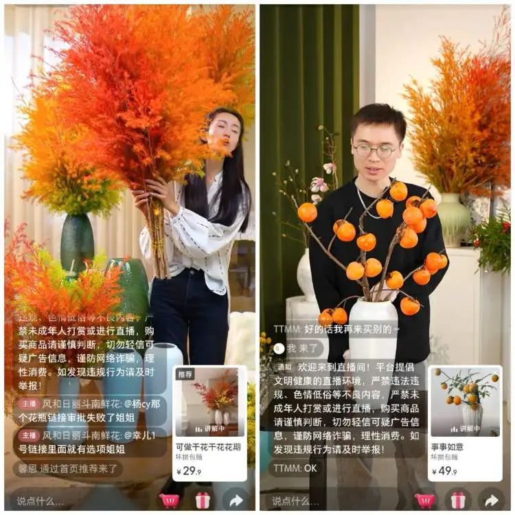 花700元买变色绿植?坐等一个月,疯狂掉叶、南瓜爆浆,他们直呼“避雷”... 花700元买变色绿植?坐等一个月,疯狂掉叶、南瓜爆浆,他们直呼“避雷”...