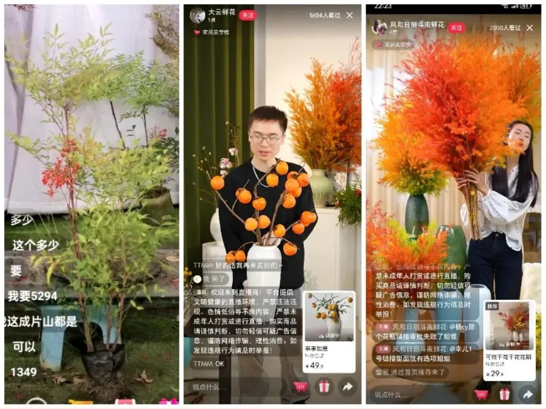 花700元买变色绿植?坐等一个月,疯狂掉叶、南瓜爆浆,他们直呼“避雷”... 花700元买变色绿植?坐等一个月,疯狂掉叶、南瓜爆浆,他们直呼“避雷”...