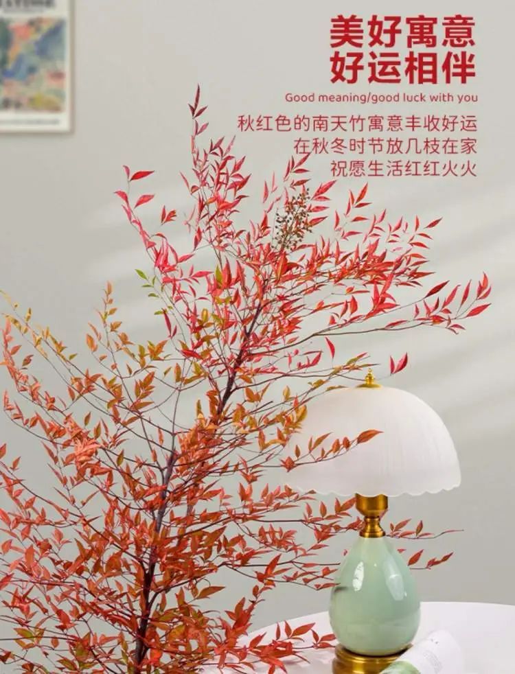 花700元买变色绿植?坐等一个月,疯狂掉叶、南瓜爆浆,他们直呼“避雷”... 花700元买变色绿植?坐等一个月,疯狂掉叶、南瓜爆浆,他们直呼“避雷”...