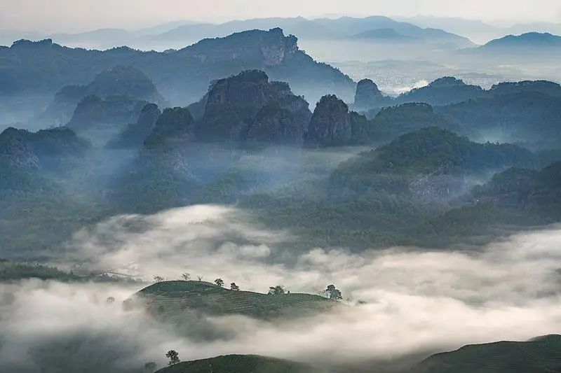 半价、免票！全国多景区官宣，有你想去的吗？