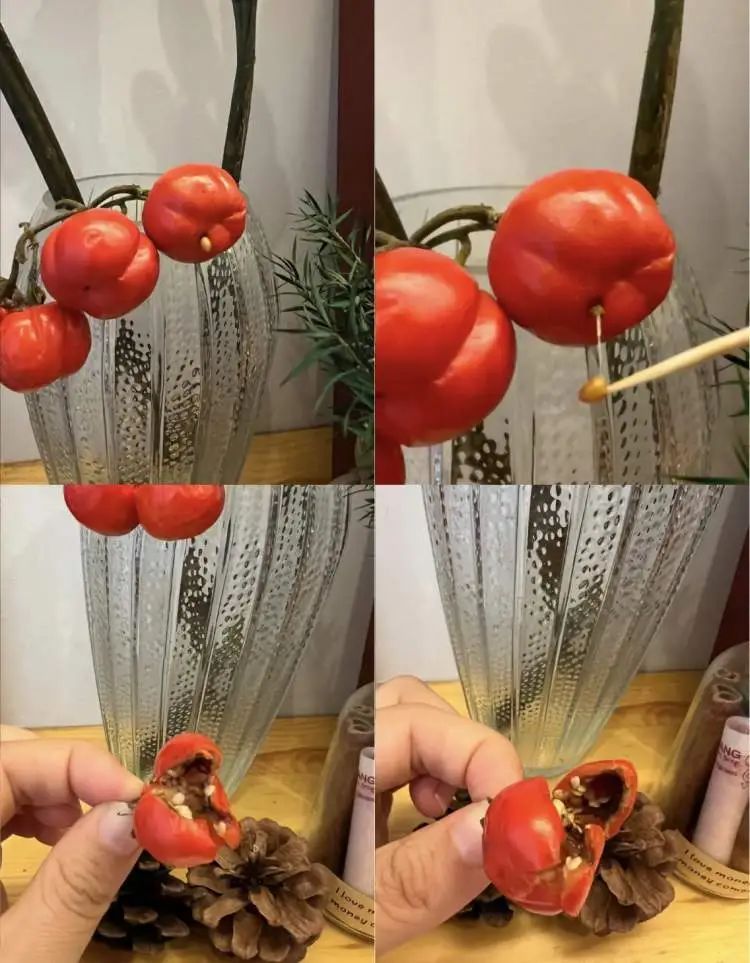 花700元买变色绿植?坐等一个月,疯狂掉叶、南瓜爆浆,他们直呼“避雷”... 花700元买变色绿植?坐等一个月,疯狂掉叶、南瓜爆浆,他们直呼“避雷”...