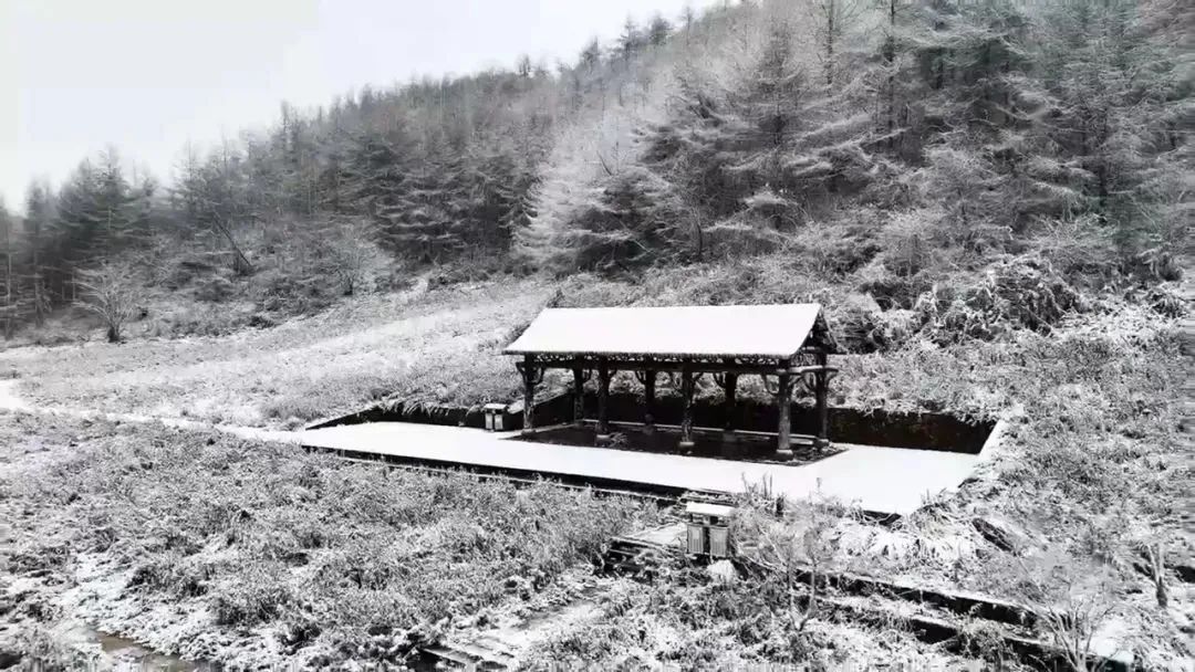 最低-1℃！雨、雨夹雪、小雪……重庆赏雪攻略已附上→