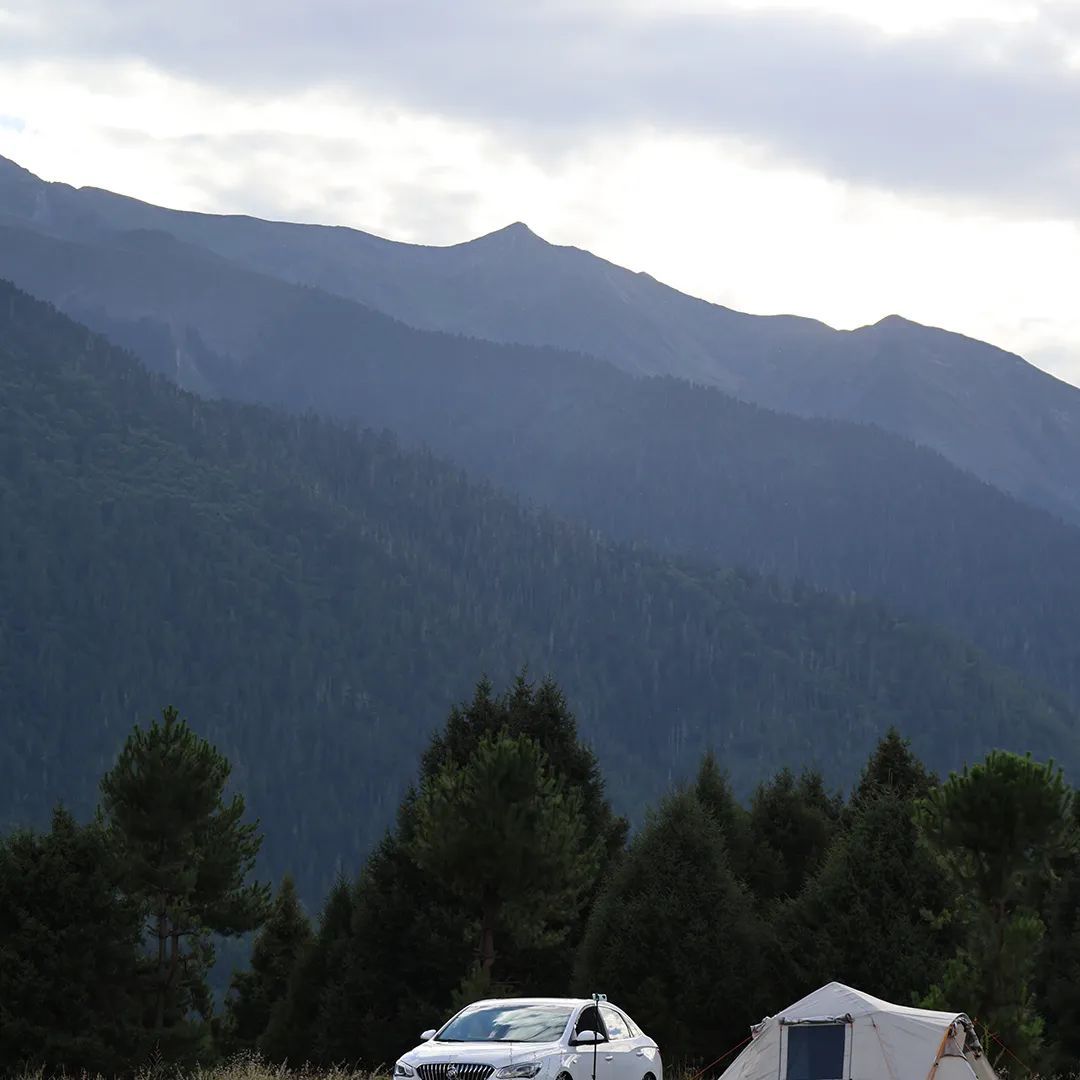 花700元买变色绿植?坐等一个月,疯狂掉叶、南瓜爆浆,他们直呼“避雷”... 花700元买变色绿植?坐等一个月,疯狂掉叶、南瓜爆浆,他们直呼“避雷”...