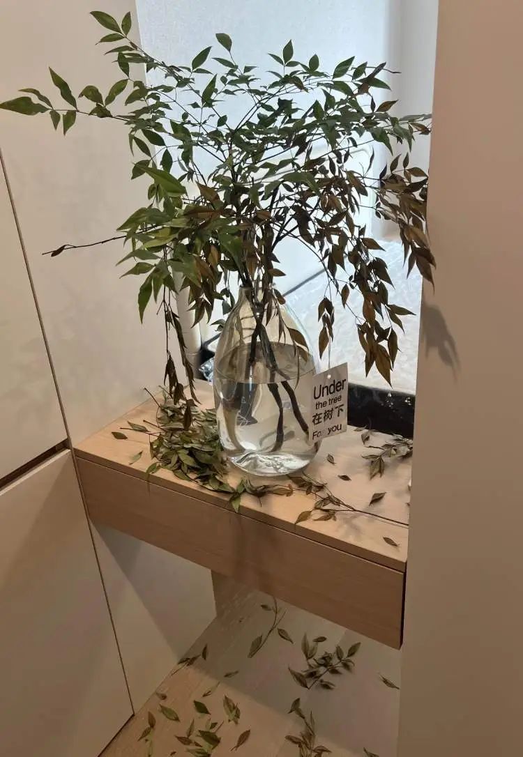 花700元买变色绿植?坐等一个月,疯狂掉叶、南瓜爆浆,他们直呼“避雷”... 花700元买变色绿植?坐等一个月,疯狂掉叶、南瓜爆浆,他们直呼“避雷”...