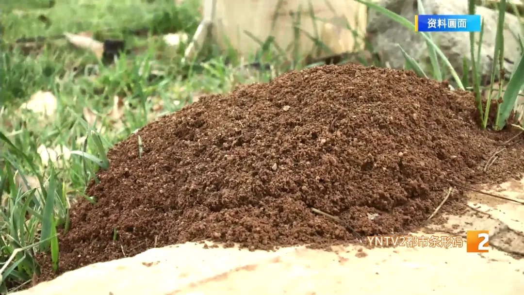 被下病危通知书!手指遭咬后全身起红疹严重过敏,他险些...... 被下病危通知书!手指遭咬后全身起红疹严重过敏,他险些......