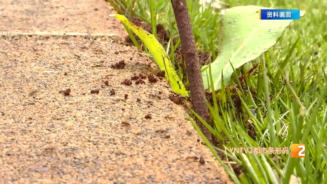 被下病危通知书!手指遭咬后全身起红疹严重过敏,他险些...... 被下病危通知书!手指遭咬后全身起红疹严重过敏,他险些......
