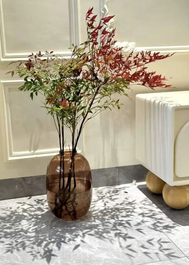 花700元买变色绿植?坐等一个月,疯狂掉叶、南瓜爆浆,他们直呼“避雷”... 花700元买变色绿植?坐等一个月,疯狂掉叶、南瓜爆浆,他们直呼“避雷”...