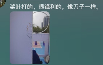 女子出游拍照 惨遭无人机撞脸