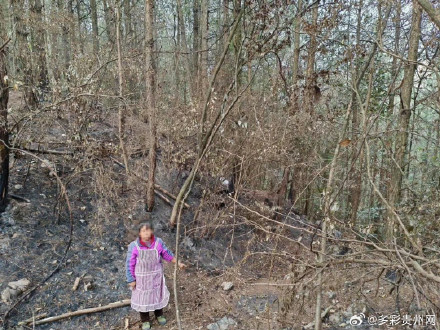 一村民为捡塑料瓶故意放火烧山 被刑拘! 一村民为捡塑料瓶故意放火烧山 被刑拘!