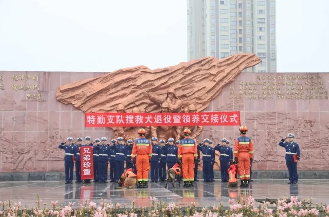 云南消防39只搜救犬“考编”失败？回应：已有八百多人报名领养