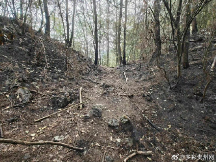 一村民为捡塑料瓶故意放火烧山 被刑拘! 一村民为捡塑料瓶故意放火烧山 被刑拘!