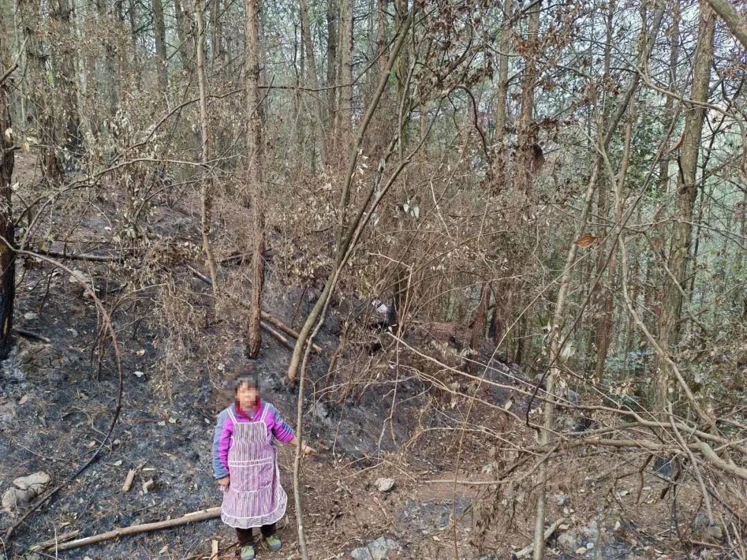 冲上热搜！大妈为捡塑料瓶卖钱，竟放火烧山，咋想的？