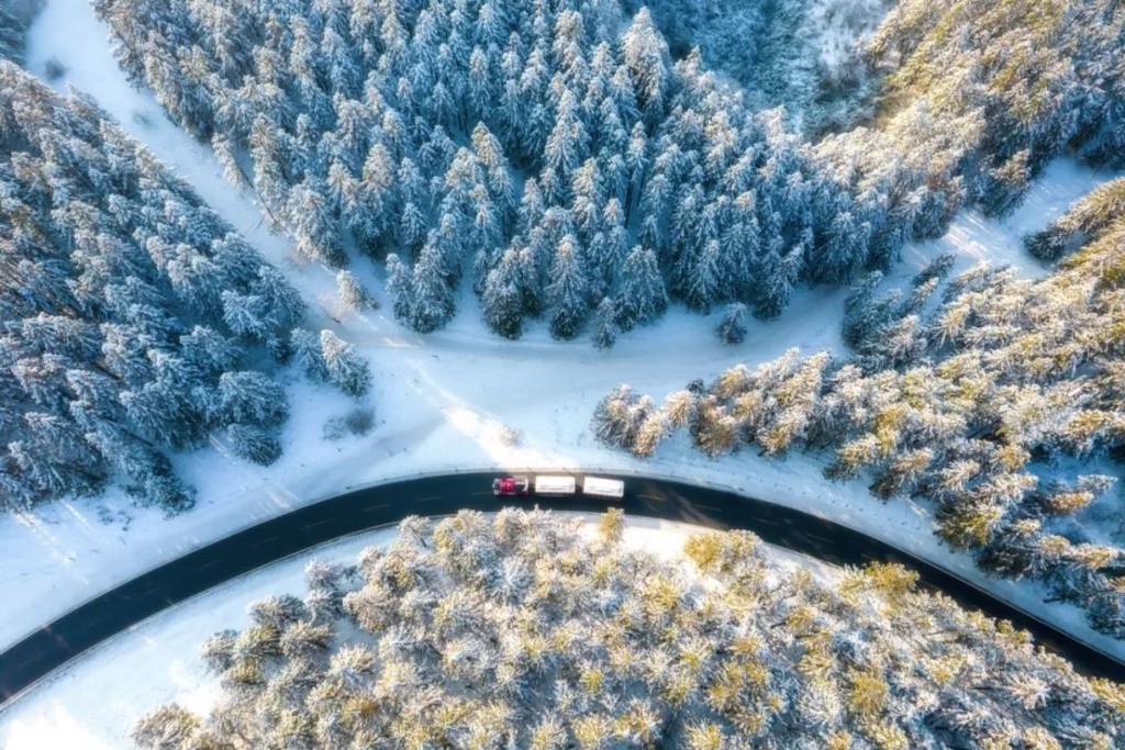 最低-1℃！雨、雨夹雪、小雪……重庆赏雪攻略已附上→