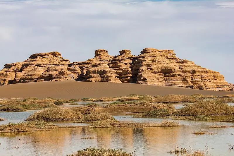 半价、免票！全国多景区官宣，有你想去的吗？