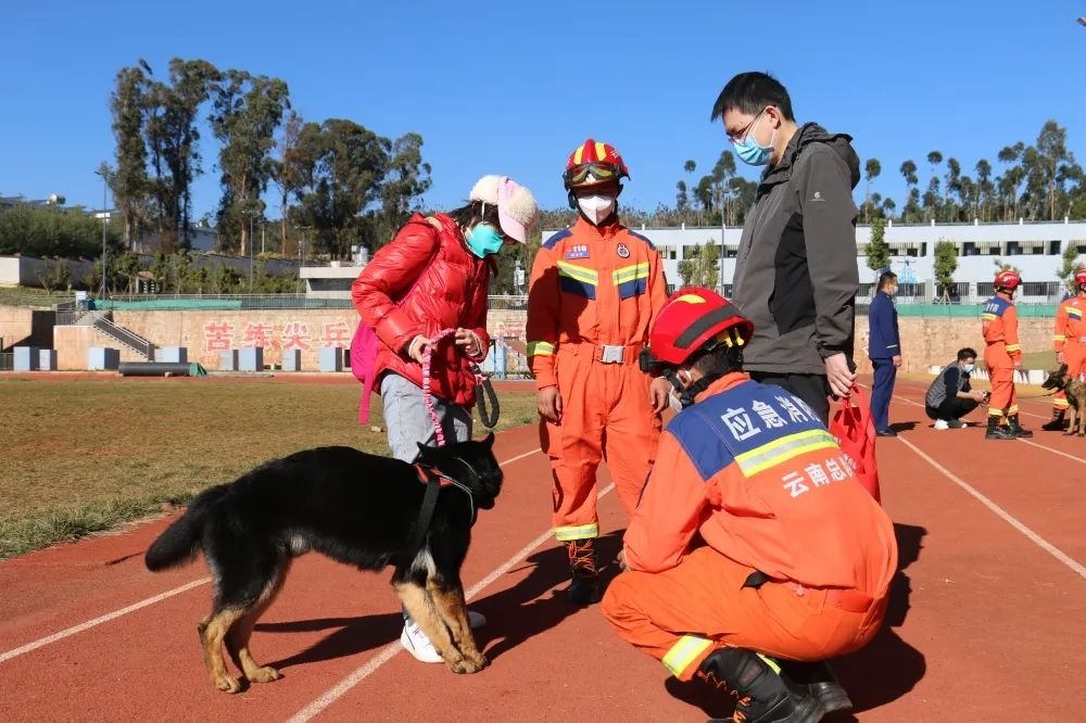 云南消防39只搜救犬“考编”失败？回应：已有八百多人报名领养