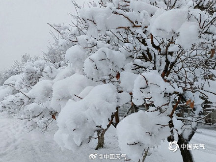 北方又下雪啦！就差北京西安济南郑州初雪还没下啦！