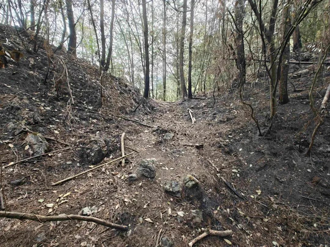 冲上热搜！大妈为捡塑料瓶卖钱，竟放火烧山，咋想的？