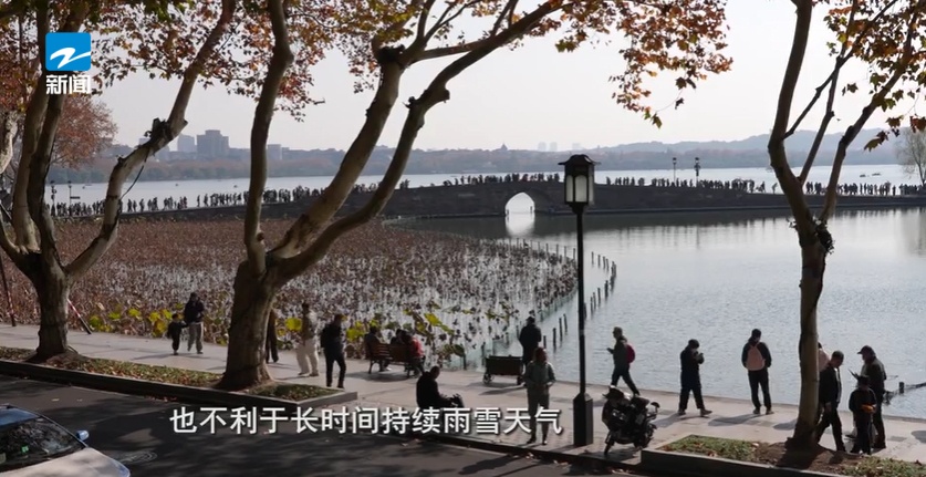 下雪了！冷空气接二连三，会出现极端天气吗？浙江省气象台最新研判→