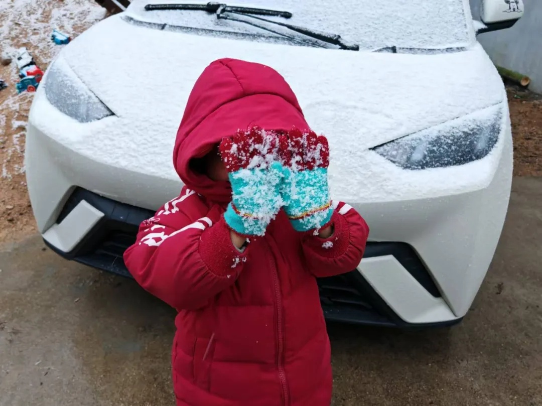 下雪了！安徽这里全白了