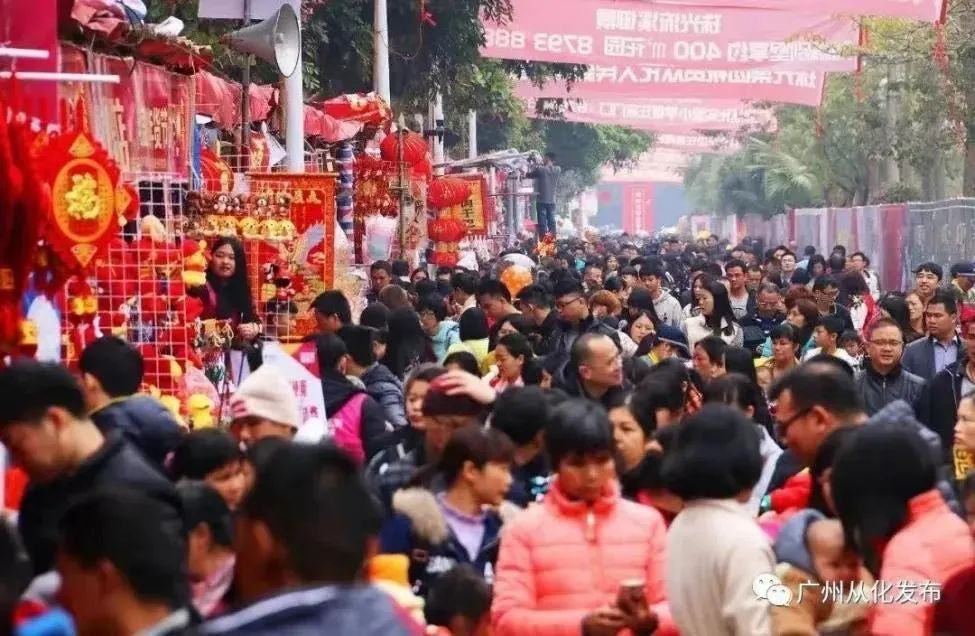 2025年迎春花市要来啦！广州多区官宣→