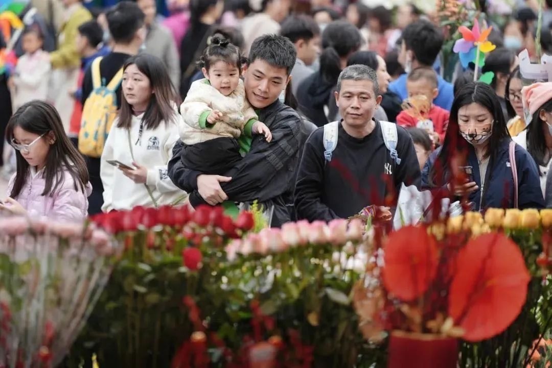 2025年迎春花市要来啦！广州多区官宣→