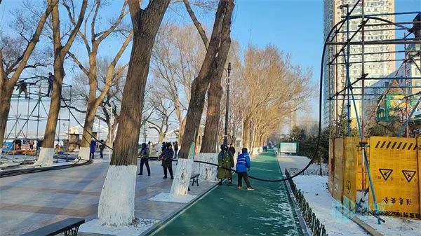 历届之最！哈尔滨松花江冰雪嘉年华开工啦~