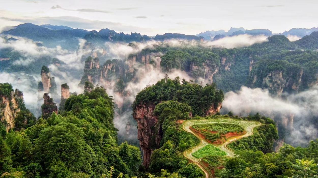 世界自然遗产观察丨张家界：峰林深处起和声